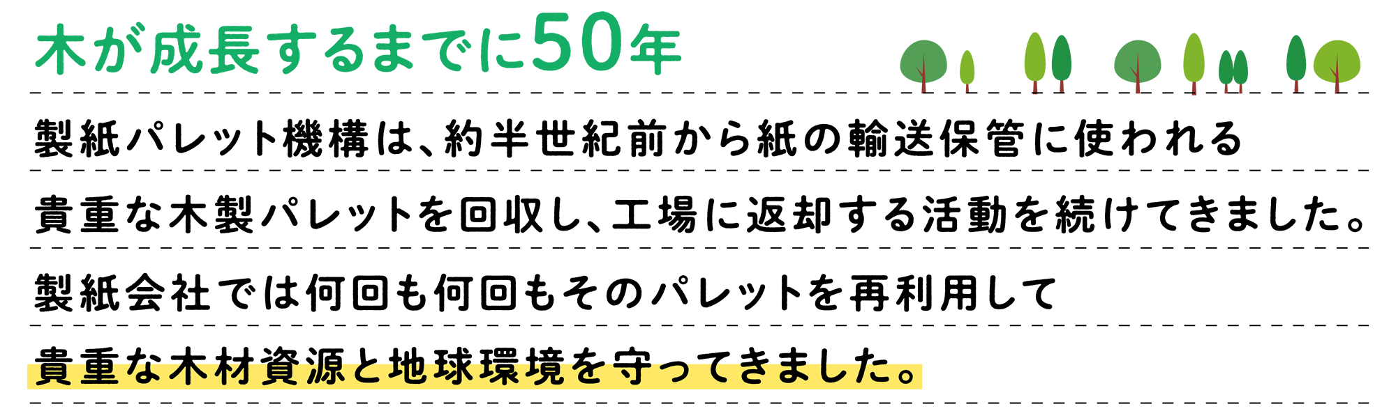 木が成長するまでに50年